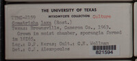 Image Associated With the Occurence